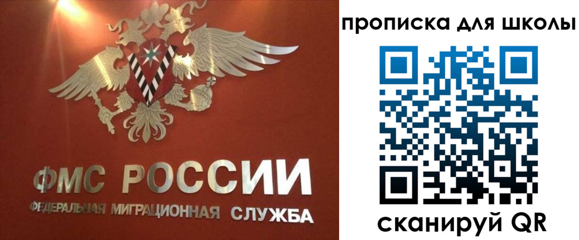 прописка от собственника в Дмитрове
