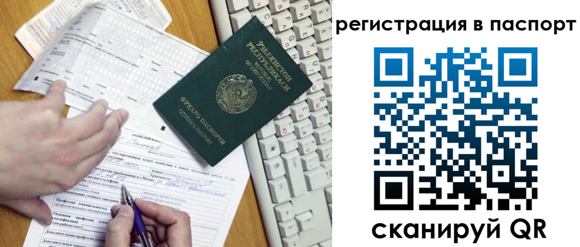 прописка поиск в Дмитрове