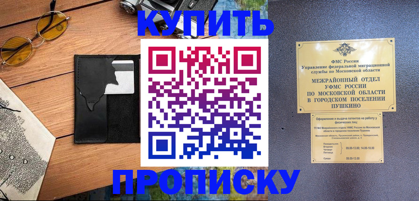 временная регистрация в Дмитрове